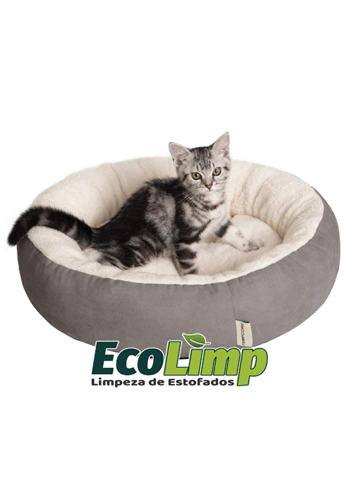 caminha-pet-ecolimp-produto